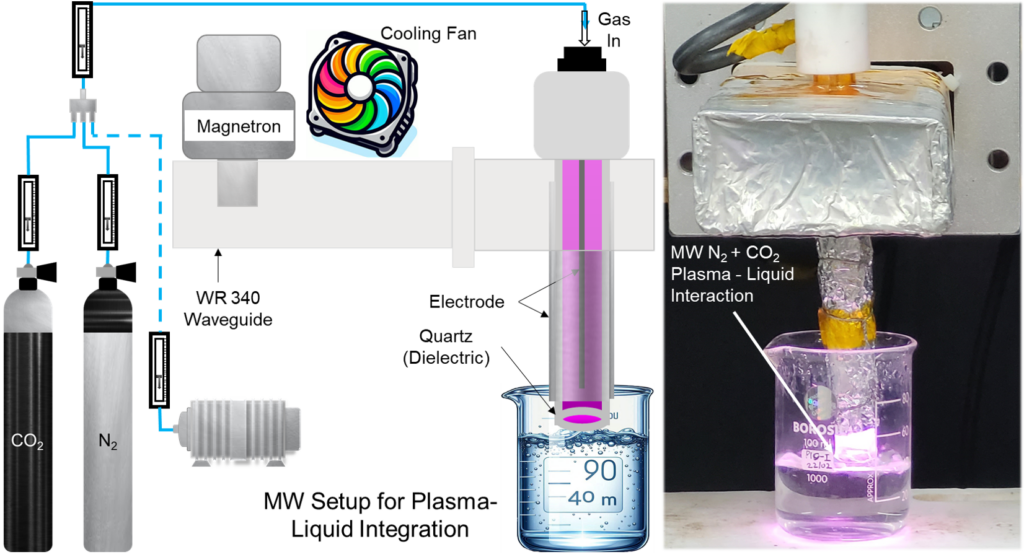 Innovative urea formation using microwave plasma-water interaction: a study on reactive species and plant growth