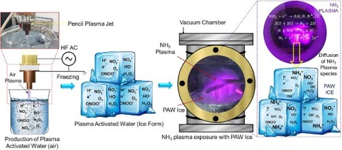 Green synthesis of ammonium nitrate (NH4NO3) fertiliser: production via plasma water/ice interaction with air and NH3 plasma