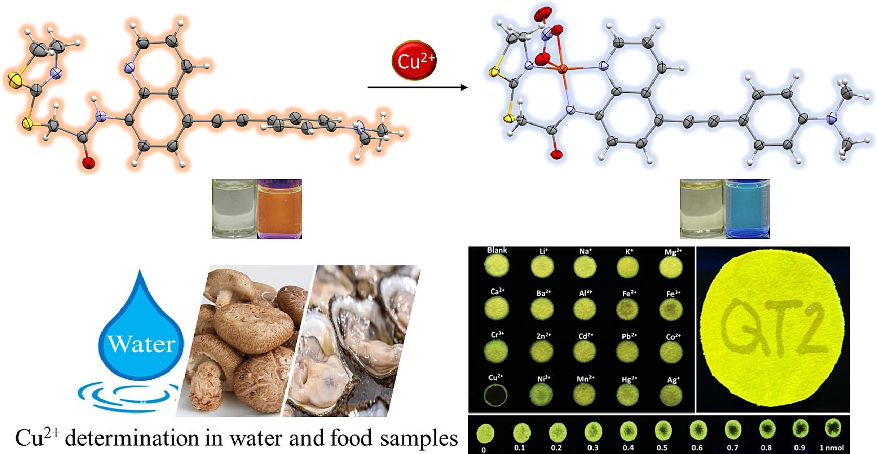 Cu(II) detection by a fluorometric probe based on thiazoline-amidoquinoline derivative and its application to water and food samples