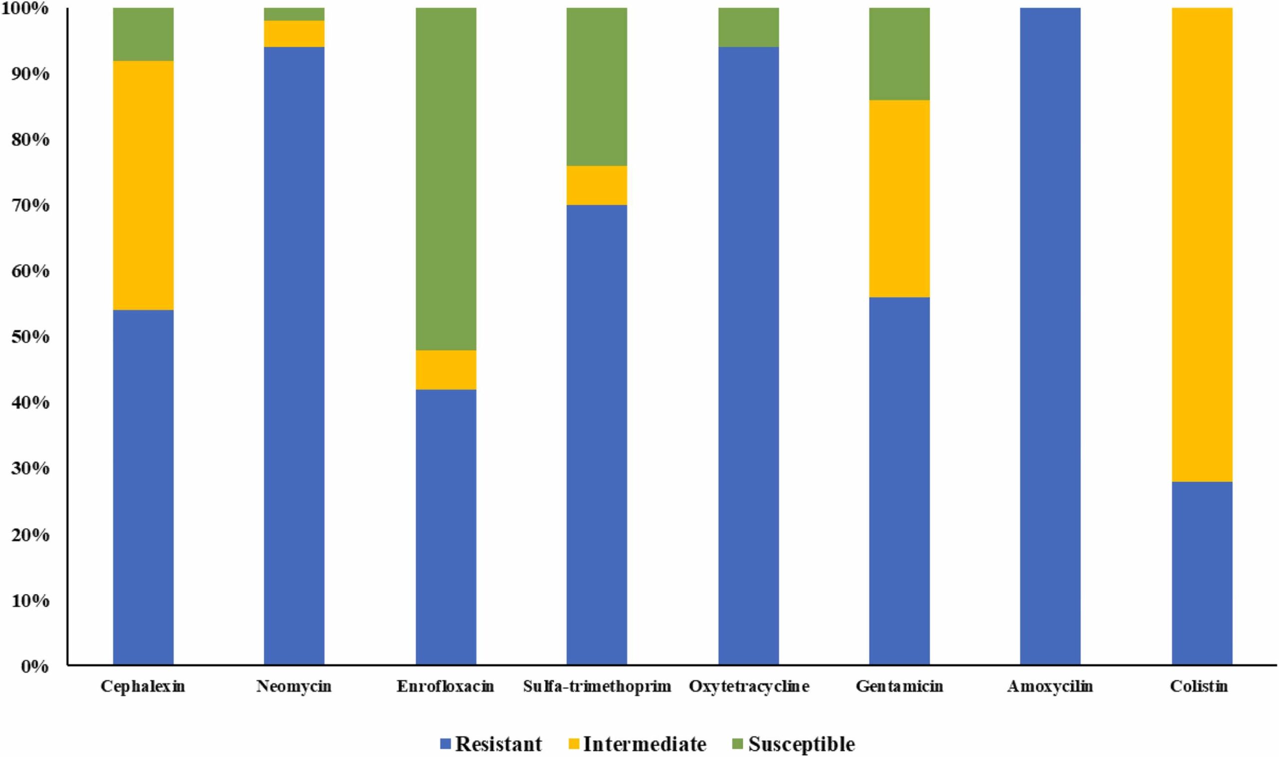 Effectiveness of a single-dose phage cocktail on the reduction of multidrug-resistant Escherichia coli in suckling piglets