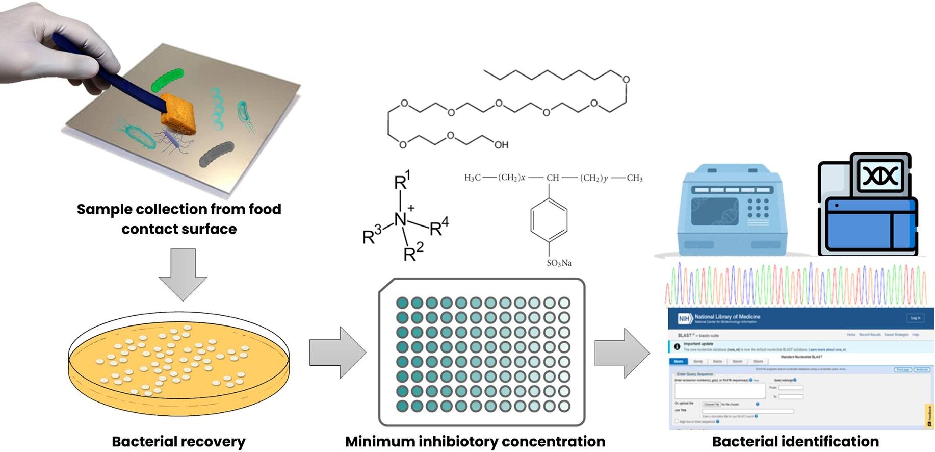 Diversity of sanitizer-resistant bacteria on food contact surface and handling equipment in squid sushi production line