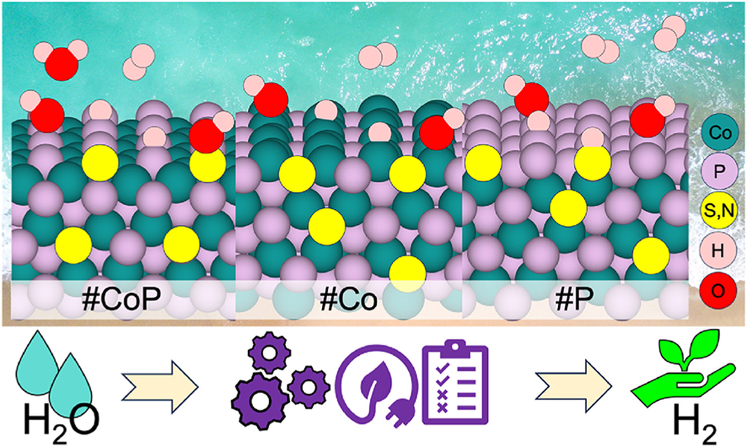 Roles of sulfur and nitrogen dopants in tuning cobalt phosphide catalysts for hydrogen evolution reaction
